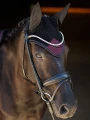 nauszniki-dla-konia-equestrian-stockholm.webp