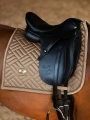 champagne-dressage-saddle-pad-2.webp